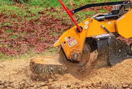 Best Lawn Pest Prevention  in Dunbar, WV