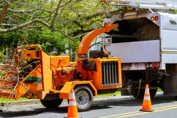 Best Arborist Consultation Services  in Dunbar, WV